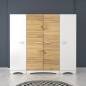 Dressing - BMD006 Dressing - BMD006
