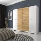 Dressing - BMD006 Dressing - BMD006