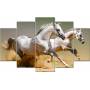 Tableau décoratif 5 pièces - chevaux blancs vinyle  - 84*130 cm