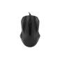 Optical Mouse Souris - optical technologie - 1200 dpi