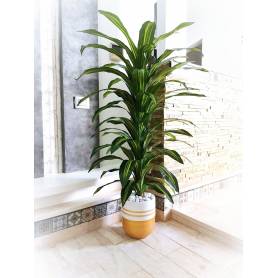 Plante artificielle avec pot - Dracaena - H. 1,60 mètre - Céramique - doré et blanc