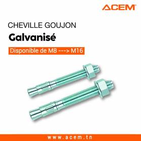 Paquet 30PCS  - Chevilles a goujon - 14x80 ACEM