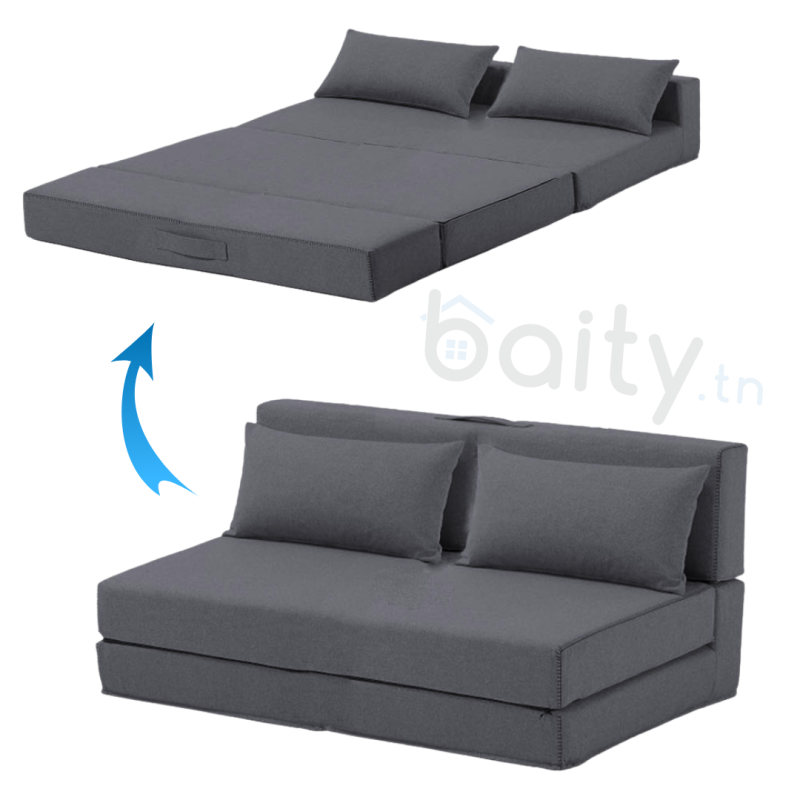Fauteuil Lit Pliable 2 Places Avec Coussins Couleur GRIS 