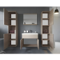 Meuble salle de bain à 2 colonnes ( sans vasque )