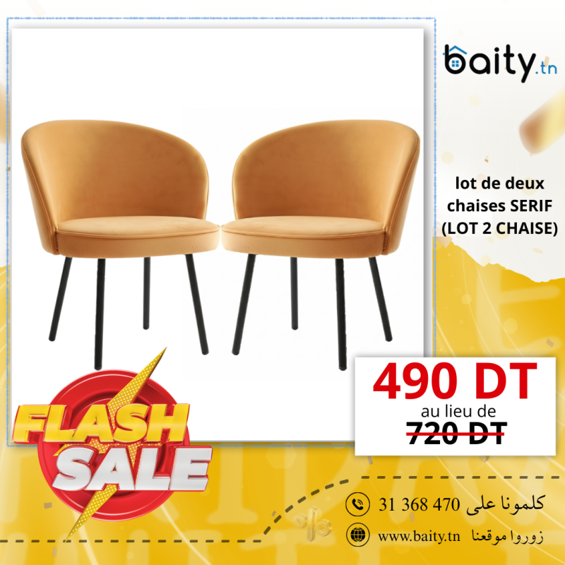 vente flash spécial white Friday lot de deux chaises serif ( lot 2 chaises )