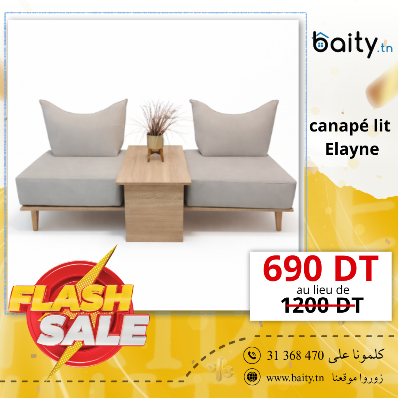 VENTE FLASH canapé lit  Elayne