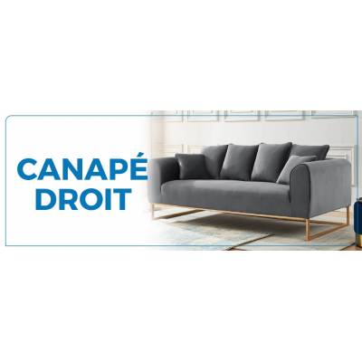 Achat / vente canapé droit- Canapé et Fauteuil | baity.tn